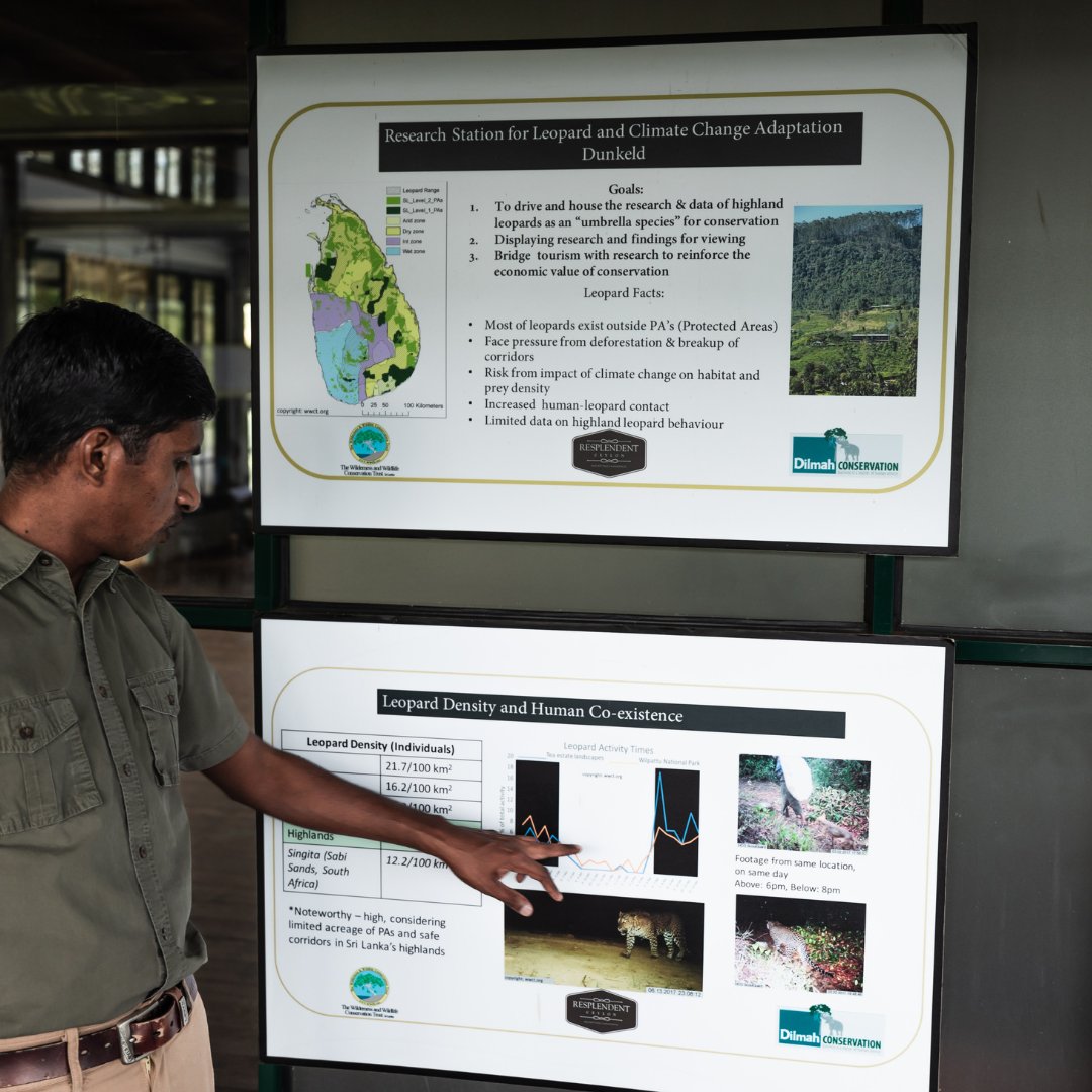 Resplendentcy's tweet photo. Read about our efforts in establishing impactful 'landscape conservation' with the technical expertise of the Wilderness and Wildlife Conservation Trust. 

https://t.co/k79YJs07lX

#ResplendentCeylon #CuratingMeaningfulJourneys #LandscapeConservation #LeopardsoftheHighlands https://t.co/QRa4amP94w