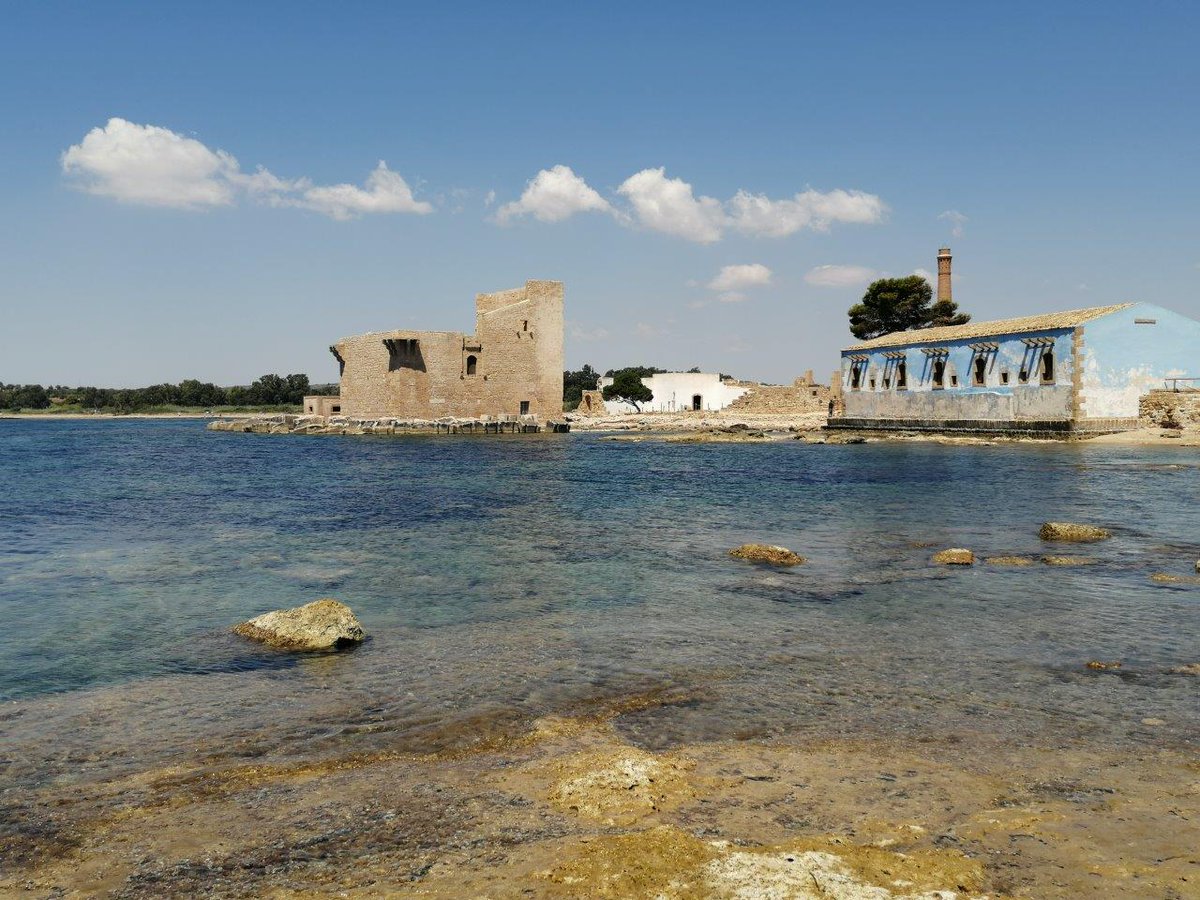 ImpronteNelMondo tweet media