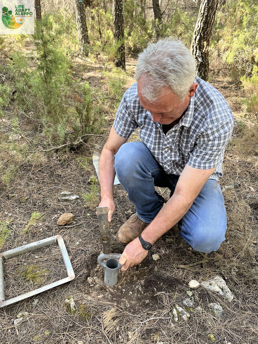adaptaleppo's tweet photo. En #LIFE #Adaptaleppo se toman muestras de suelo para caracterización físico-química, para comprobar si los trabajos de #GestiónForestal modifican sus propiedades.
#LaHunde #investigación #UPV
@UPV  @ETSEA_UdL  @EtsiamAb @agrestascoop @IEntornoNatural
 ⏩  https://t.co/Ub11btBttl https://t.co/cyOjQcKVOL