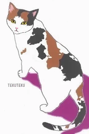 日本の上空を飛んだミサイル 日本は打ち落とせるけど軌道の計算上本土領海への着弾はないため敢えて打ち落とさなかったのか それともそもそもの打ち落とす能力がなくて単に見送ったのか どっちだろ 