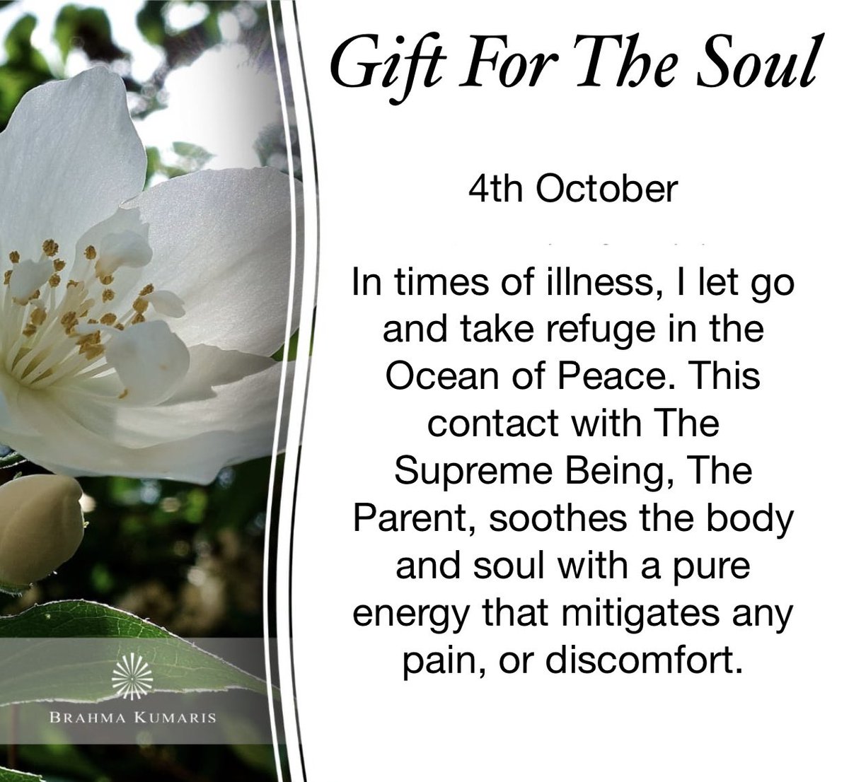 labandera_c's tweet photo. #peace #relax #health #wellbeing #wellness #bio #grateful #happiness #success #meditation #knowmyself #truth #freedom #english #joy #rajayoga #justbe https://t.co/h5PTuQqVwN