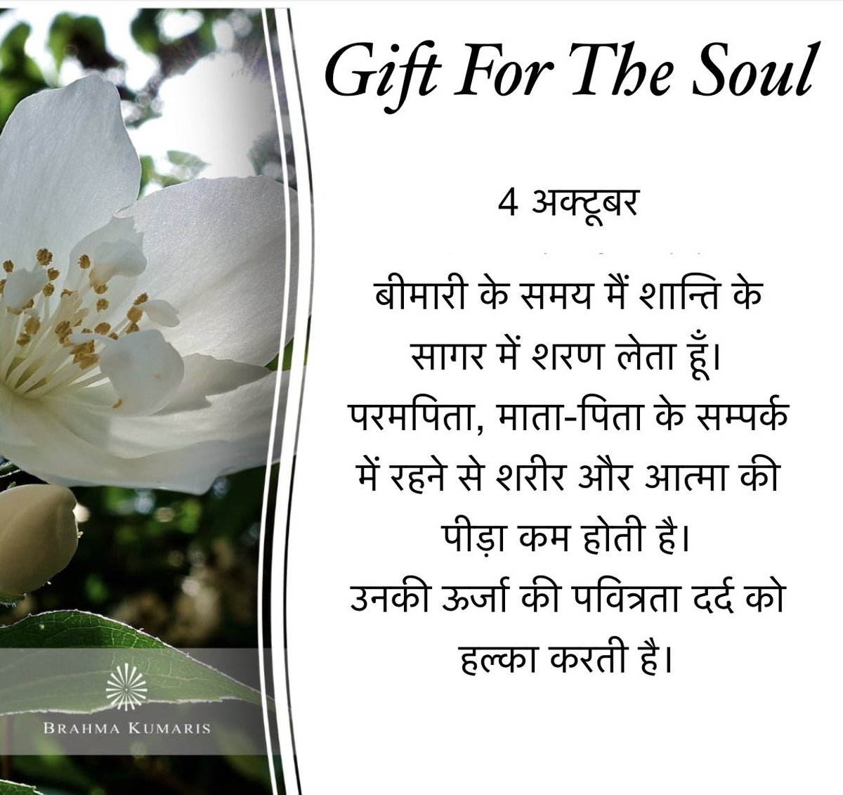 labandera_c's tweet photo. #peace #relax #health #wellbeing #wellness #bio #grateful #happiness #success #meditation #knowmyself #truth #freedom #english #joy #rajayoga #justbe #hindi #india https://t.co/qovmhihxcQ