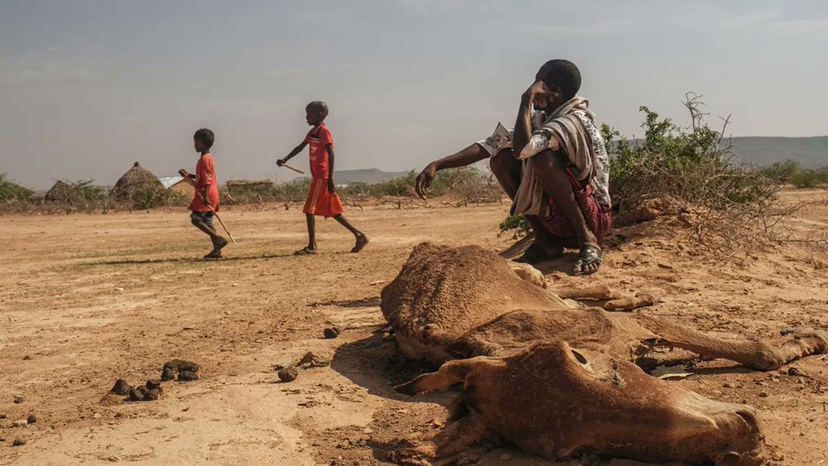 ecoloadjibouti's tweet photo. À un mois de la #COP27, les rép africains réunis à #Kinsasha en RD Congo pr la #PRECOP27 veulent se faire entendre à la prochaine table des négociations.Ils exigent une justice climatique pr l'Afrique qui paie le lourd tribut du #changementclimatique.
👉https://t.co/7dSQHLiqlw https://t.co/NAPScHZ8qK