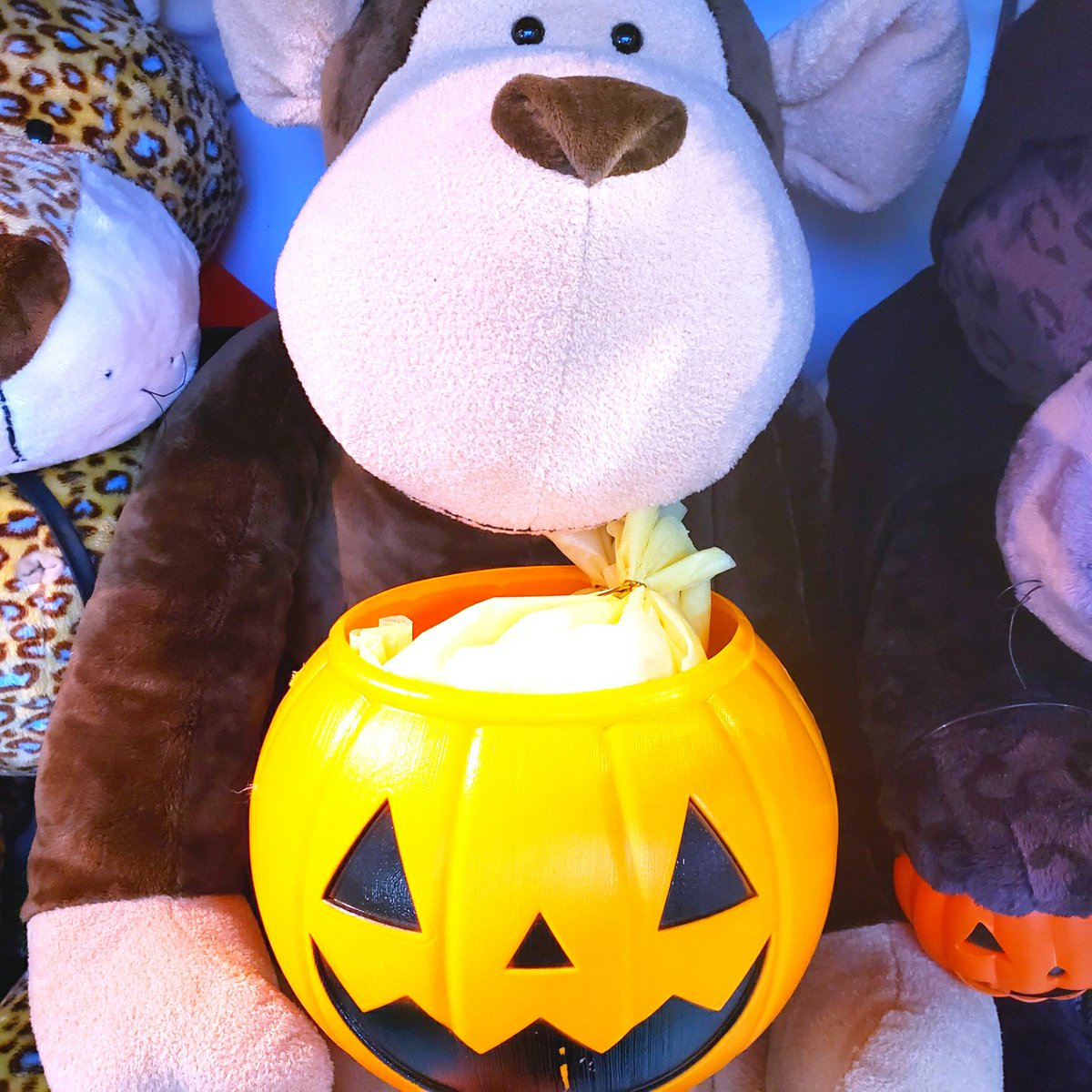 echika_rainbow's tweet photo. #NICI ✨新ショーウィンドウ✨
もうすぐ #ハッピーハロウィン 🎃
皆仮装したりお菓子準備したり…
既に楽しんでる様子です🍬💓
お写真撮影📸自由です!
お気軽にお越しください🐻♡
#ぬいぐるみ #ぬい撮り
#HAPPYHALLOWEEN
#トリックオアトリート
#trickortreat #ハロウィーン
#ぬいぐるみの時間 https://t.co/fziCK89MpL