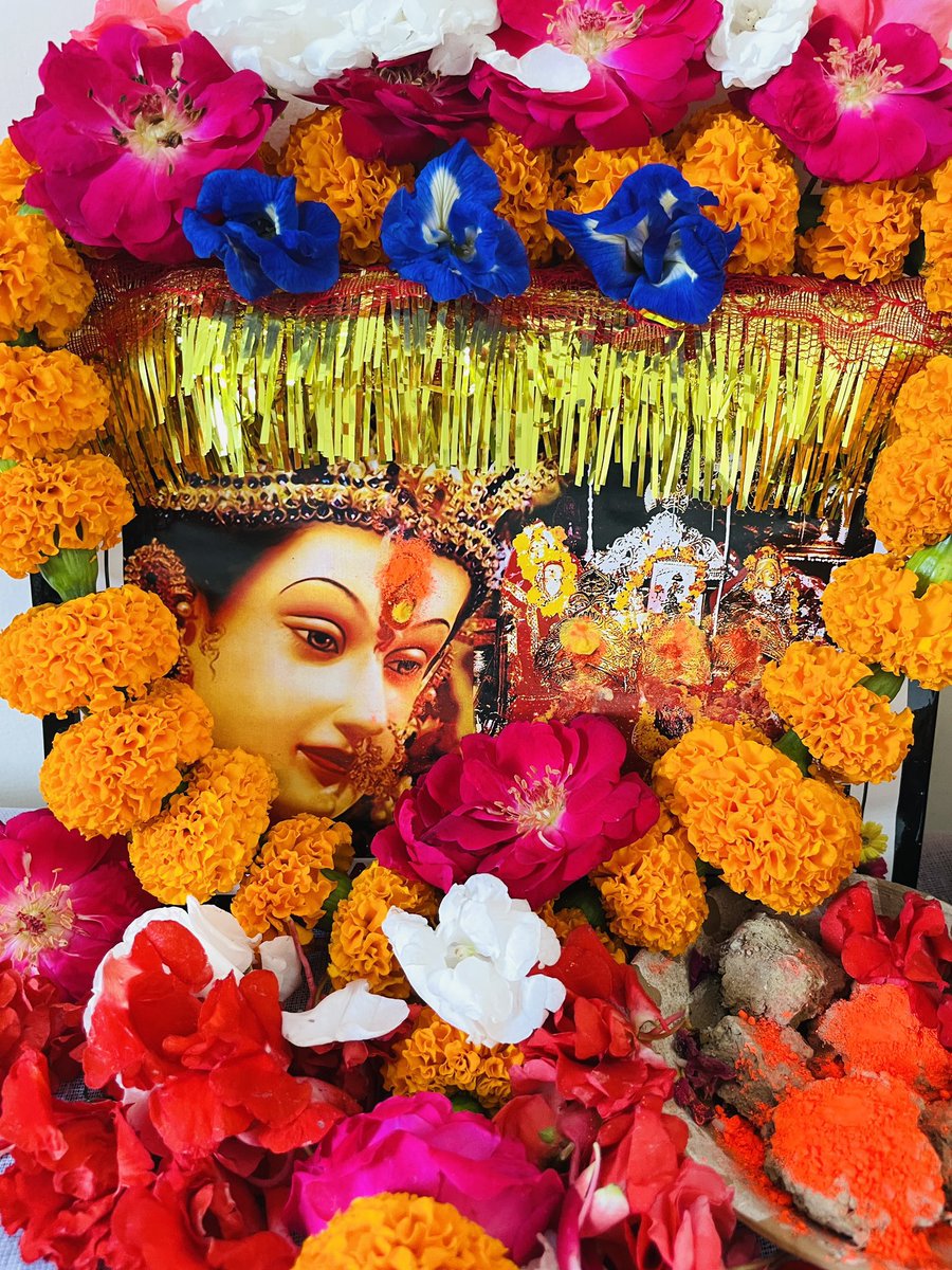 Maha Navami is dedicated to Goddess Siddhidatri, the ninth form of Goddess Durga.
May Goddess bless us with lots of happiness, wisdom & success.🙏🌸
 
#mahanavami #happynavratri #navratri2022 #navratrispecial #shaktiutsav #navratri #celebrations