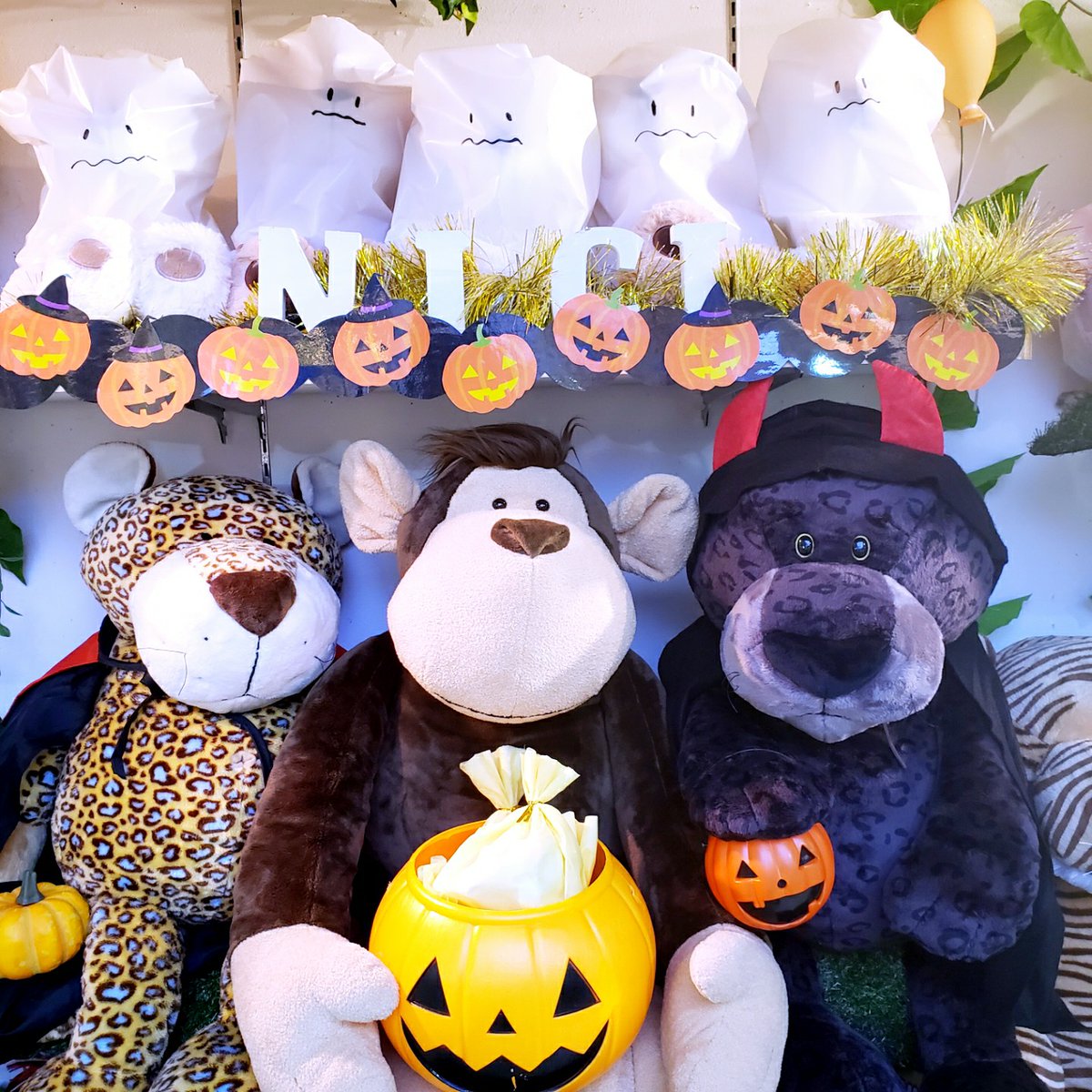 echika_rainbow's tweet photo. #NICI ✨新ショーウィンドウ✨
もうすぐ #ハッピーハロウィン 🎃
皆仮装したりお菓子準備したり…
既に楽しんでる様子です🍬💓
お写真撮影📸自由です!
お気軽にお越しください🐻♡
#ぬいぐるみ #ぬい撮り
#HAPPYHALLOWEEN
#トリックオアトリート
#trickortreat #ハロウィーン
#ぬいぐるみの時間 https://t.co/fziCK89MpL