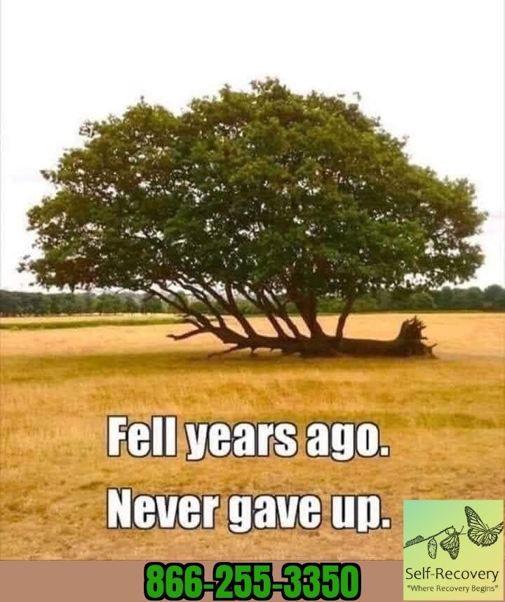SelfRecoveryLLC's tweet photo. Here to help 24 hours! Serving Alabama and surrounding states. 866-255-3350
#wedorecover #recovery #recoveryispossible #recoverywarrior #recoverycommunity #recover #recovering #recoveringaddict #recoveringalcoholic #recoveringaddicts #endthestigma #soberlife #sober #soberliving https://t.co/7gLvLzUWdE