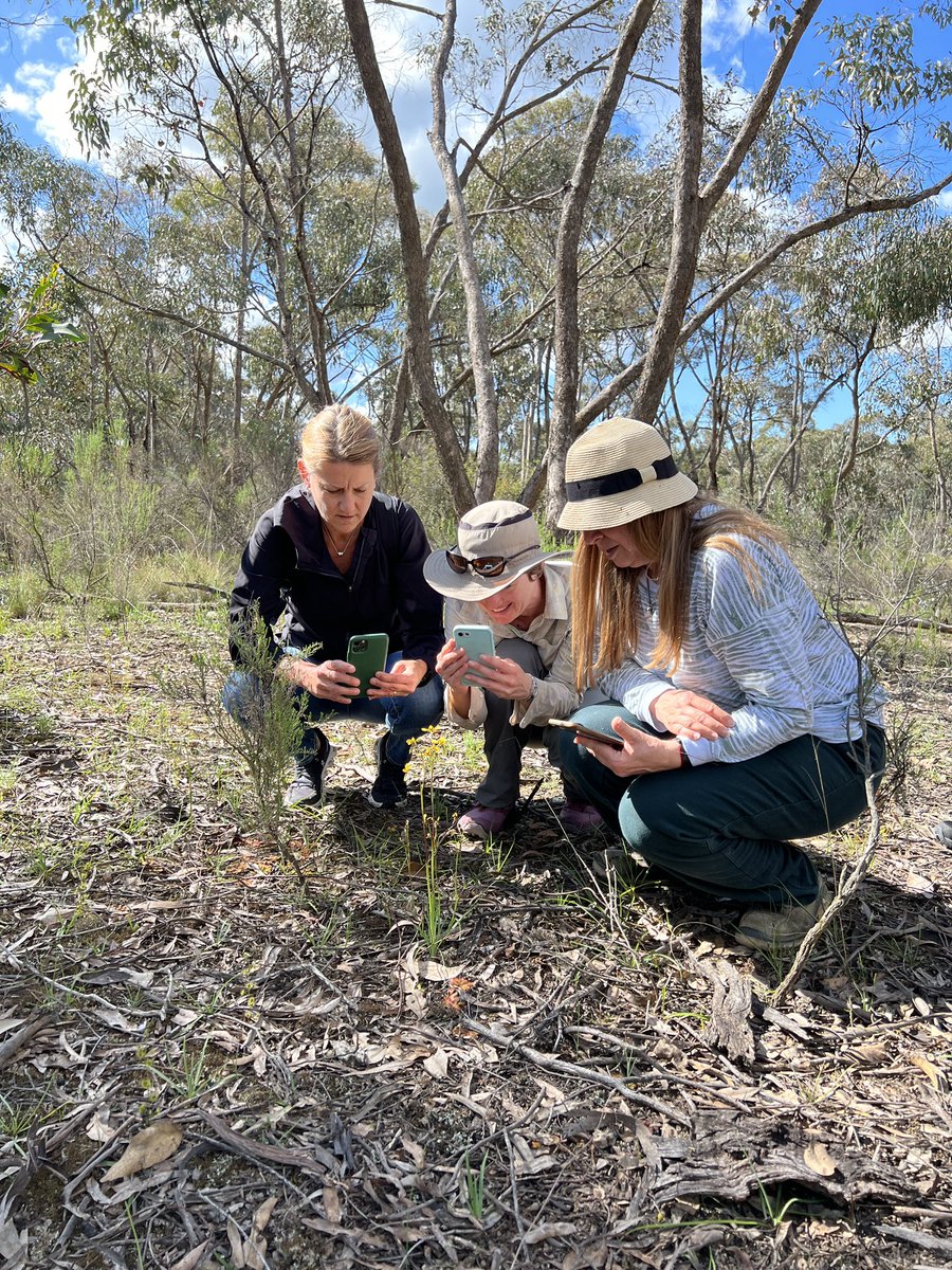 Cameron Tasker tweet media
