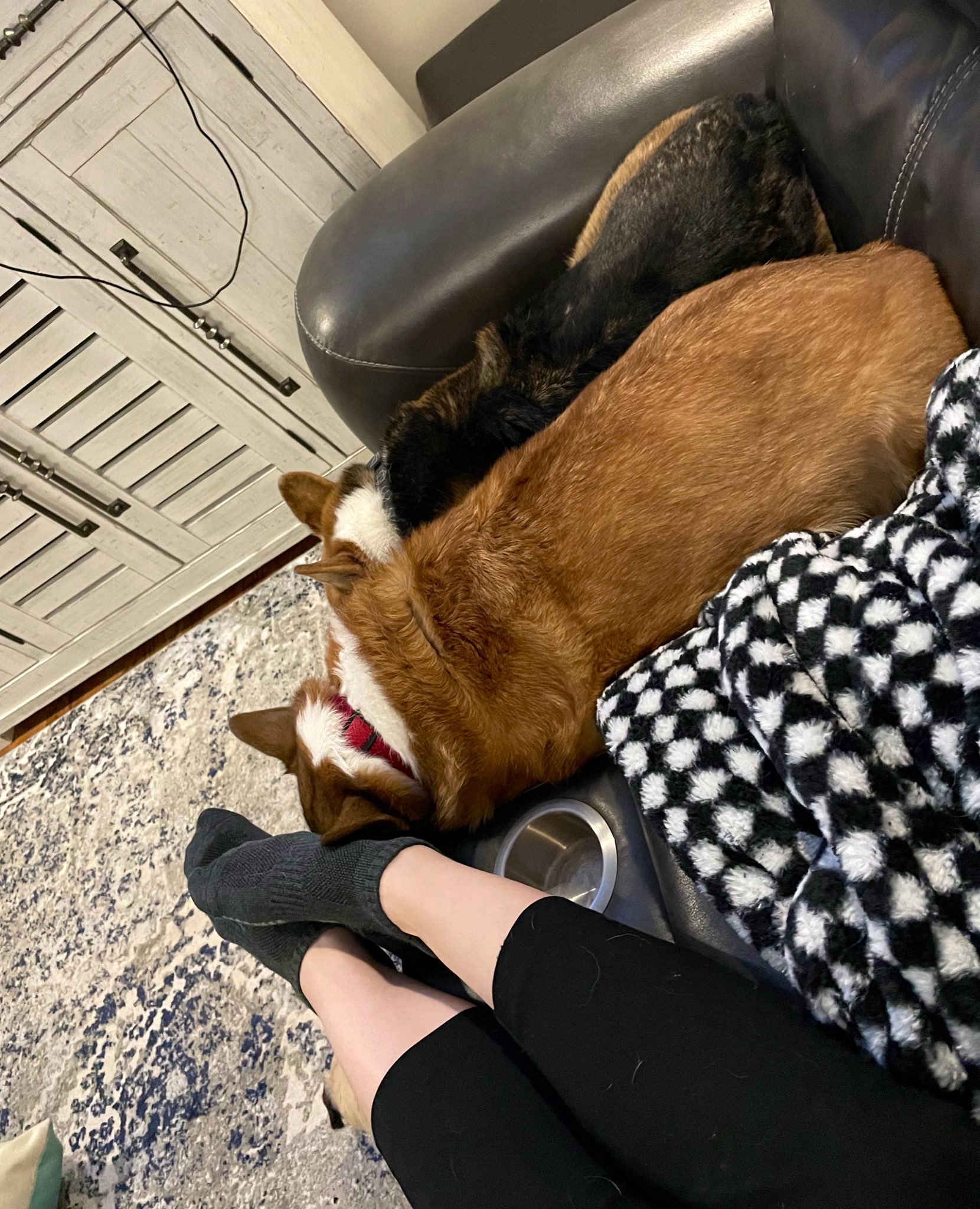 Zabracus on Twitter "Couch is just another word for bread box. 🥖🍞