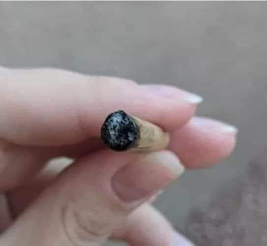 eu to muito chapado ou tem um leão na ponta do beck? kkkkk