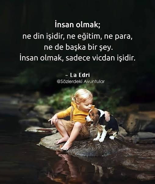 Üstünüze giydiğiniz çul çaput umrumda değil
Ne olur bugün insanlığı giysek..

Gün aysın istiyorum artık 🌱☀️🕊️