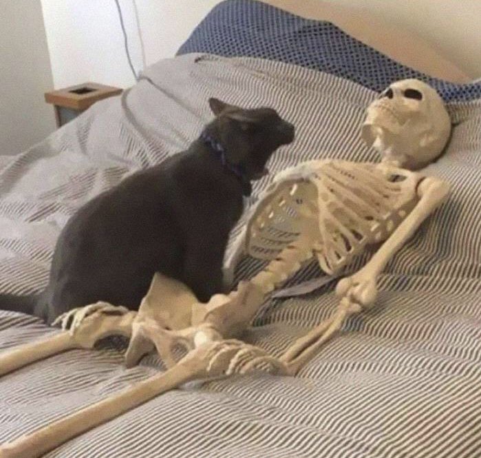 Agatha Chocolats tweet media