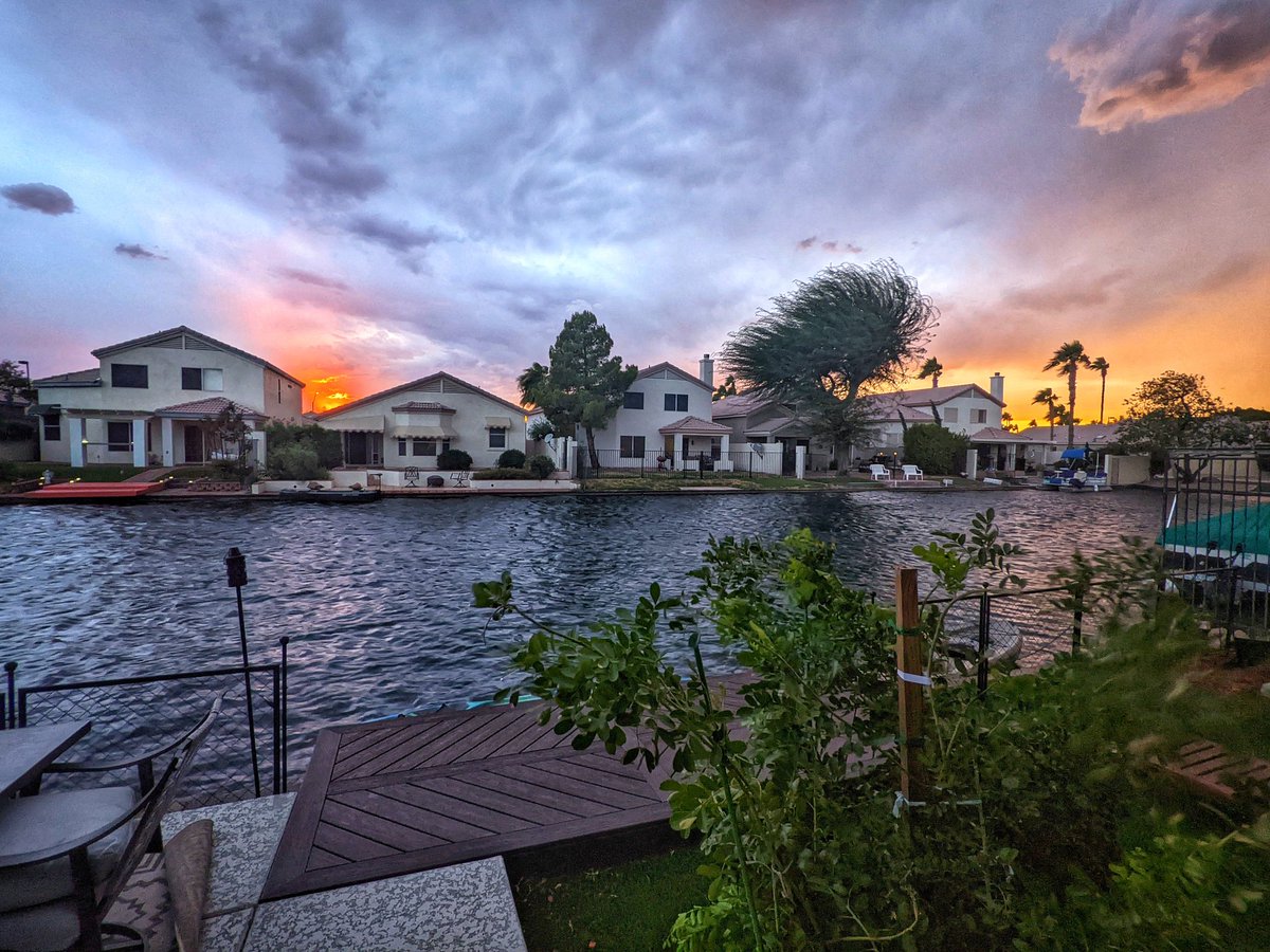 Some #DustStorm destruction, including a tree down at the entrance to the neighborhood, and the loss of my newly seeded veggie garden 😭 but that #sunset... 😍 #azwx