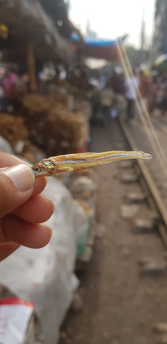 hakimbhai5's tweet photo. Can you guess what is this? https://t.co/UVlDdqdmfj