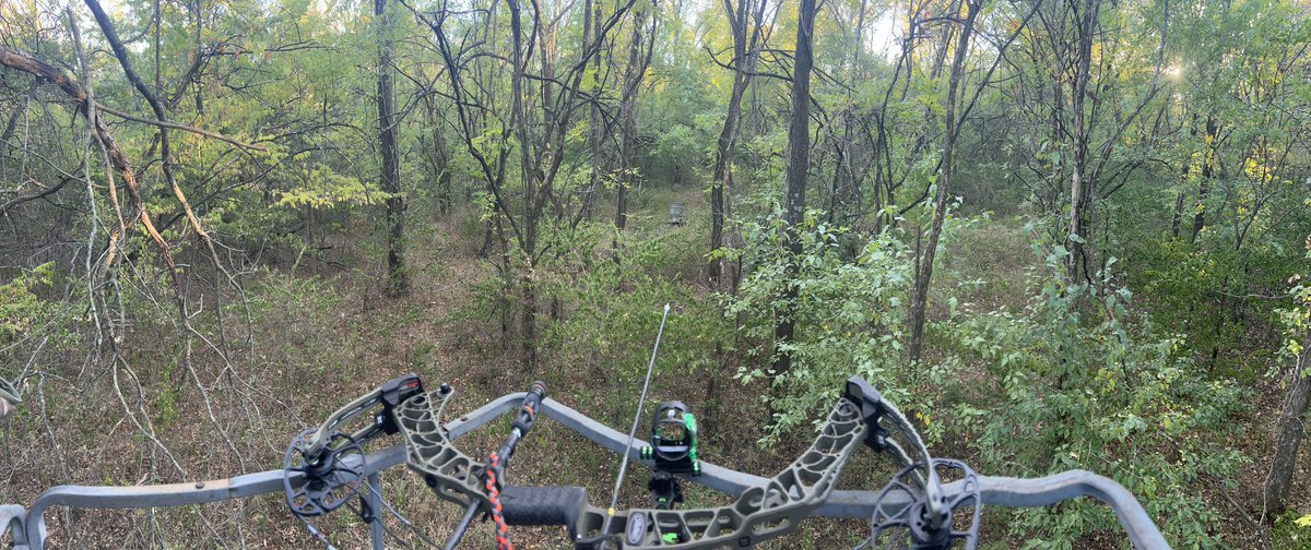 Chanc Gomez tweet media