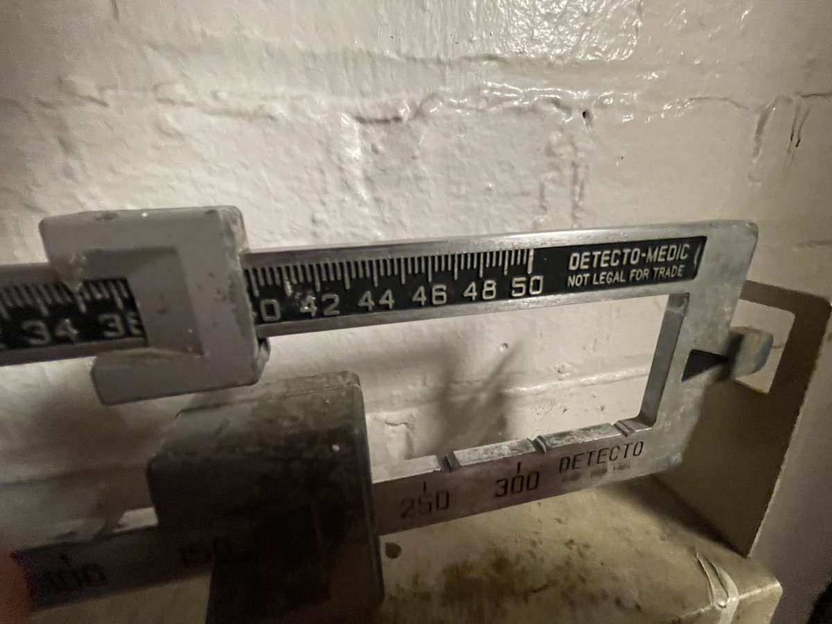 noah 🚀 tweet media