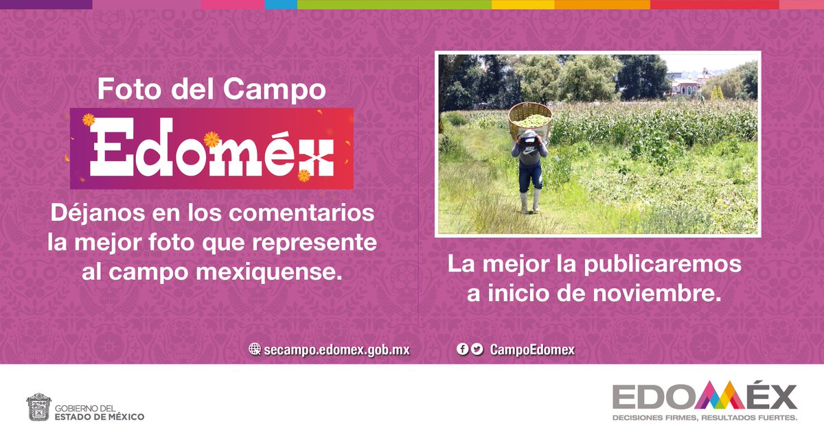 CampoEdomex's tweet photo. ¡Hoy es viernes de #FotoDelCampoEdoméx!📸🚜
No lo dejes pasar y participa para que tu foto del campo en tu municipio salga en nuestras redes. Etiqueta a tus amig@s para que participen en la dinámica y no olvides poner de qué municipio es tu foto.
#LaTierraQueNosUne 
#CampoFuerte https://t.co/1QSaWC2dac