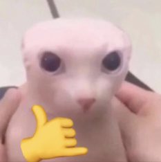 jxzmn_'s tweet photo. @Guisherm0xd @KOI https://t.co/WuDGtscQlV