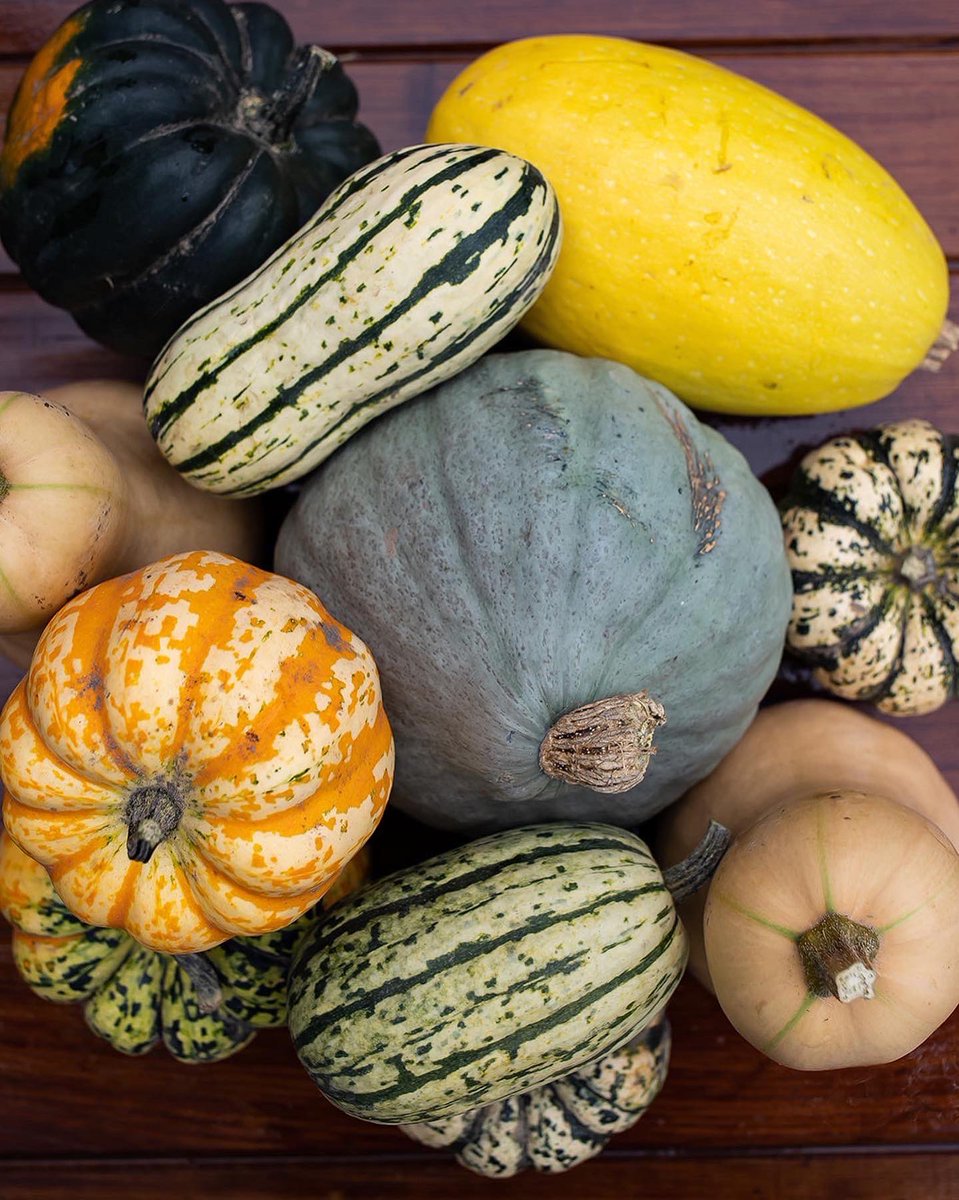 IRsweetcorn's tweet photo. We sell 8 varieties of squash #acorn #butternut #buttercup #celebration #delicata #sweetdumpling #spaghetti #hubbard
2275 Indian River Line. Open 7 days/week.
#loveontfood #homegrown #foodlandontario #ontag #smallfarm #localfoodforlife #localfoodptbo #kawarthachoicefarmfresh https://t.co/oAclZzRyc7
