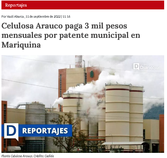 llein bon tweet media