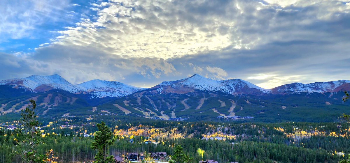 Naomi McMahon tweet media