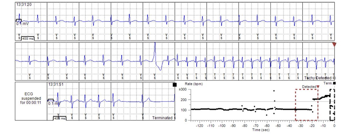 Mike Manogue tweet media