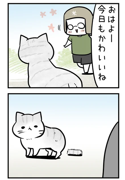 いつものねこちゃんにあいさつしたら、えっ!??し、しっ……ぽ……!???猫のいる生活  #ねこ 