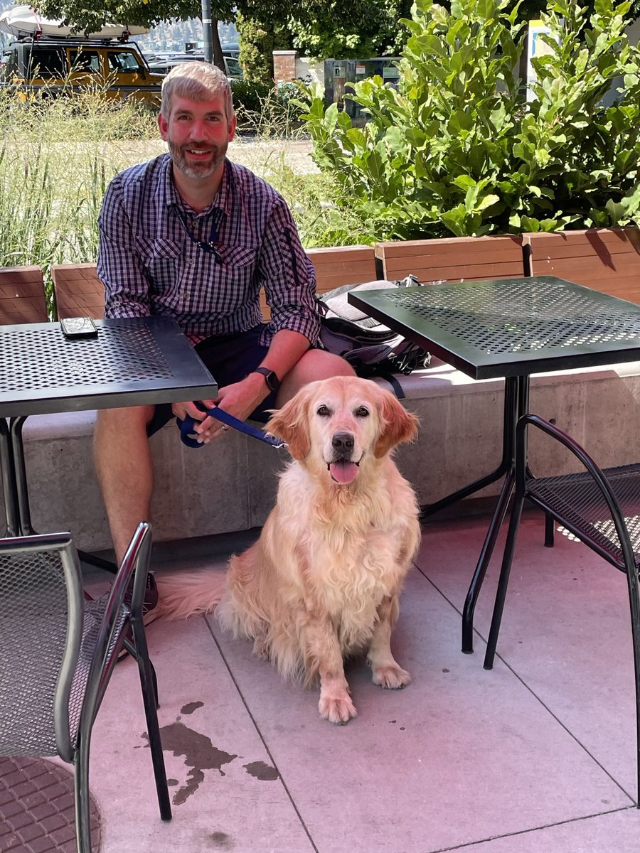 foxflowerdesign's tweet photo. @dog_rates @subaru_usa This is Iris.  She was found at a construction site in Turkey, definitely had fleas, full of sores and mats when we got her.  Drove 24 hours to collect and bring her home in Canada, and a month and a half later, she is a beautiful land walrus.  Photos: current, and day 2.  😊 https://t.co/k4hwZJtVaU