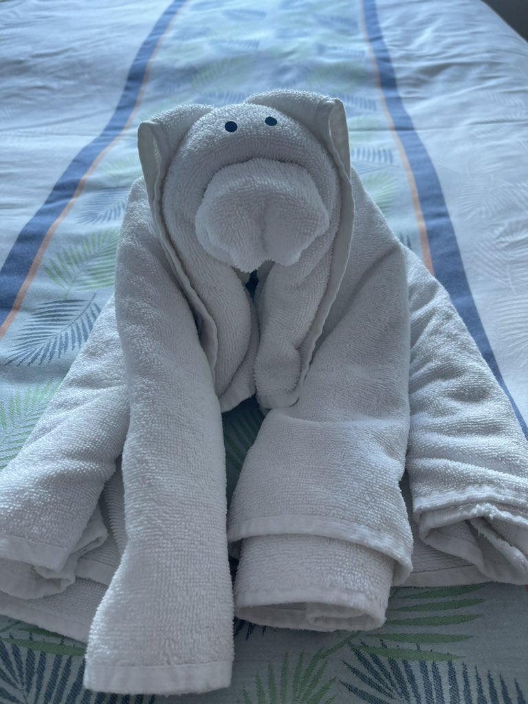 Buiitie.eth tweet media