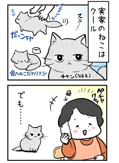 クールな実家猫がたまに見せるギャップ、たまらない。
そんなおはなし。
https://t.co/EMKcvpS1Jf
#ねこ #猫のいる生活 