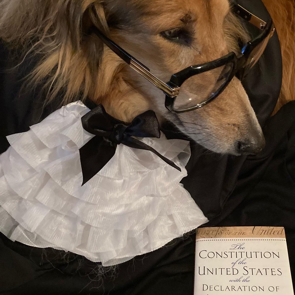 CollieCrusader's tweet photo. 🧑⚖️ ⚖️ The Supreme Court is in session and the Scales ⚖️ of Justice will be weighing evidence of my attempt to summon the likeness of #RBG 🧑⚖️⚖️
#supremecourt #scalesofjustice #firstmondayinoctober https://t.co/DPMKVsMGpZ