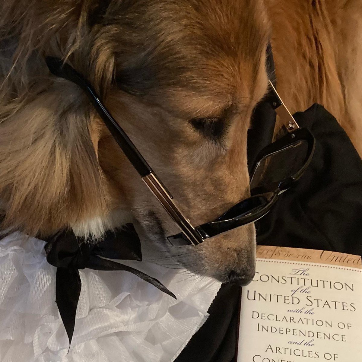 CollieCrusader's tweet photo. 🧑⚖️ ⚖️ The Supreme Court is in session and the Scales ⚖️ of Justice will be weighing evidence of my attempt to summon the likeness of #RBG 🧑⚖️⚖️
#supremecourt #scalesofjustice #firstmondayinoctober https://t.co/DPMKVsMGpZ