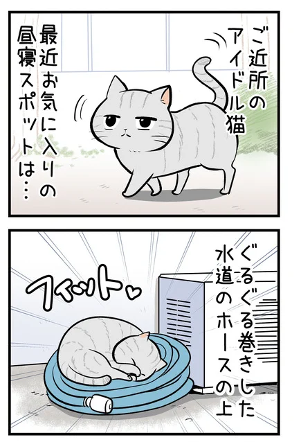 うずまきだいすきねこちゃんのおはなし。
https://t.co/7GD2EORflK
#ねこ #ねこのいる暮らし 