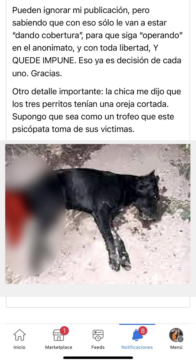 ForcadoKaren's tweet photo. Esto no puede quedar así hay que dar con esta basura de humano 😡  caso Zoofilia zona centro de Asunción 😤 @nanduti  @dameunapatapy @defensanimalpy @DianaCamarasa @edithortizg @jazgaleanopy @defensanimalpy  @hector_rubin https://t.co/dGF9CHzQ7B