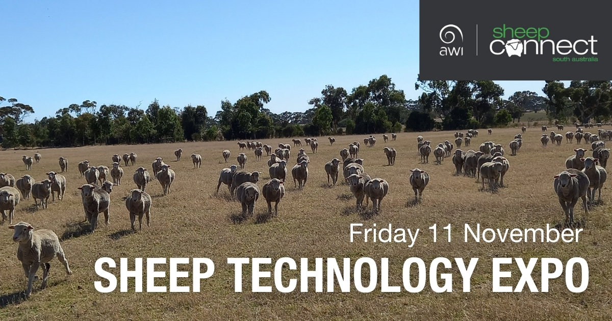 A @SheepConnectSA Tech Expo is being held at Penola on 11 November. Explore #AgTech - eID adoption, animal health tech, farm security and agtech for business performance. Register: 
PenolaExpo.eventbrite.com.au

<a href="/woolinnovation/">Australian Wool Innovation</a> <a href="/Livestock_SA/">Livestock SA</a> <a href="/MerinoInsight/">Merino SA</a> <a href="/meatlivestock/">Meat & Livestock Australia</a> <a href="/SA_PIRSA/">PIRSA</a>