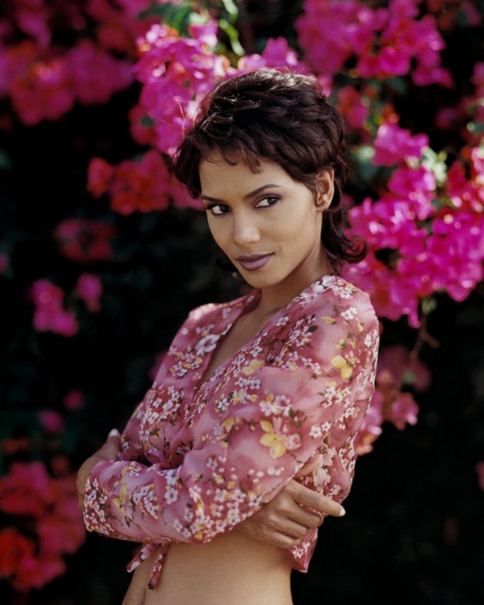 halleberry tweet picture