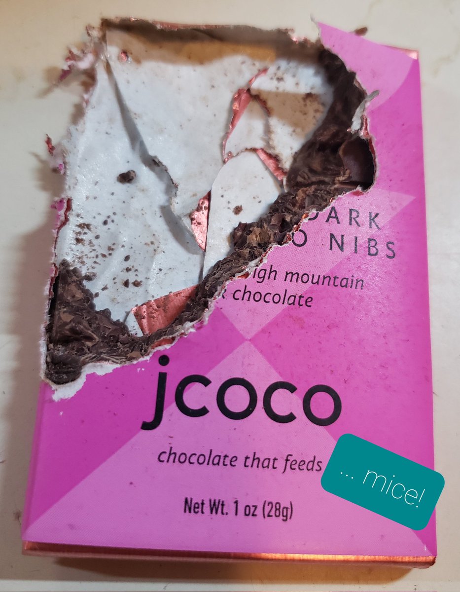 ranomaly's tweet image. #mondayproblems #mice #fatandhappymouse 
Sorry @jcocoChocolate ! I'm sure it's delicious