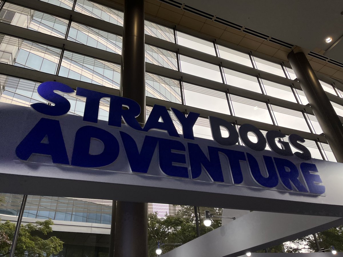 STRAY DOGS ADVENTURE tweet media