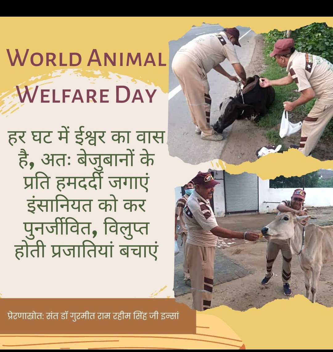 Lk80310087's tweet photo. #WorldAnimalWelfareDay https://t.co/XFLFc6qkKr