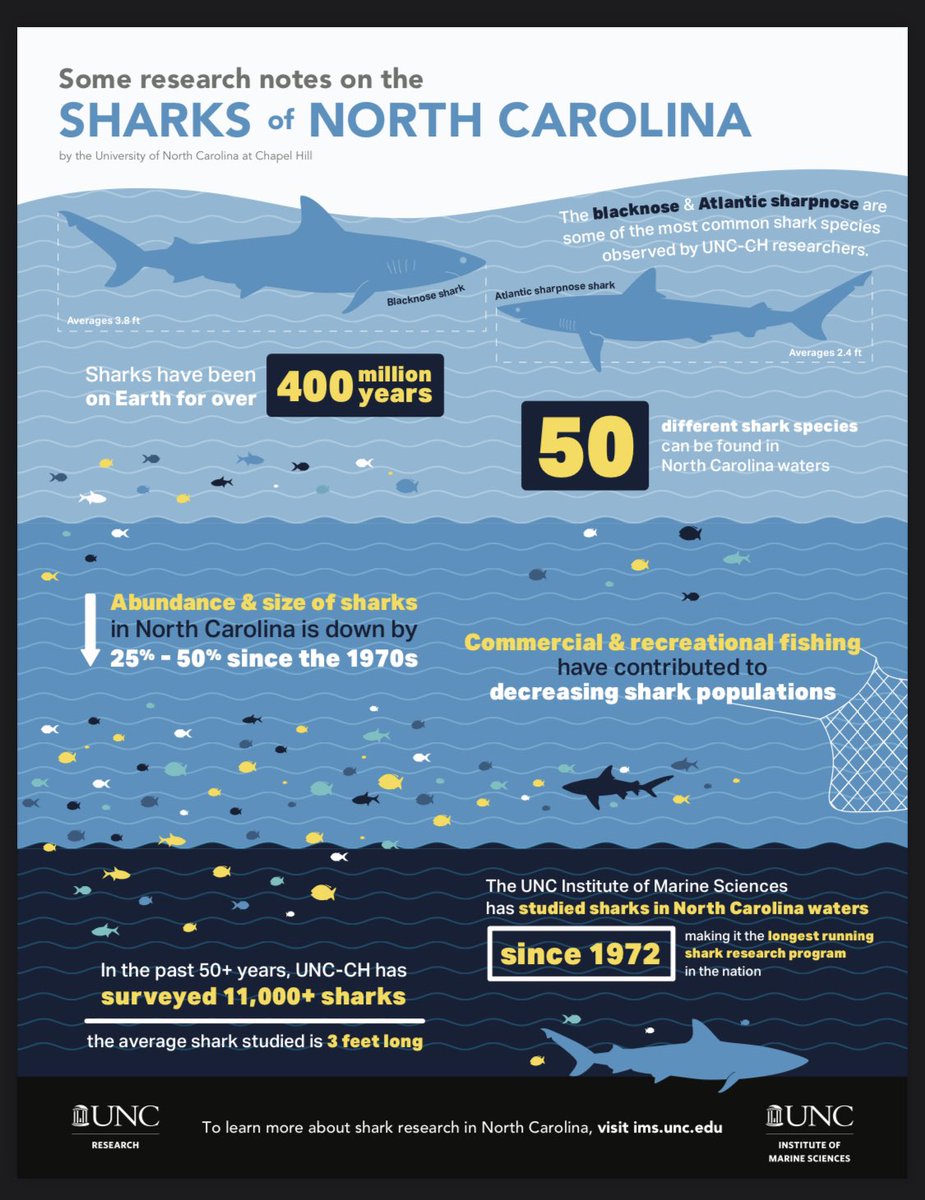 Loved tonight’s special w/ <a href="/Elisa_Raffa/">Elisa Raffa</a>? Here’s a little more about our sharks in NC.