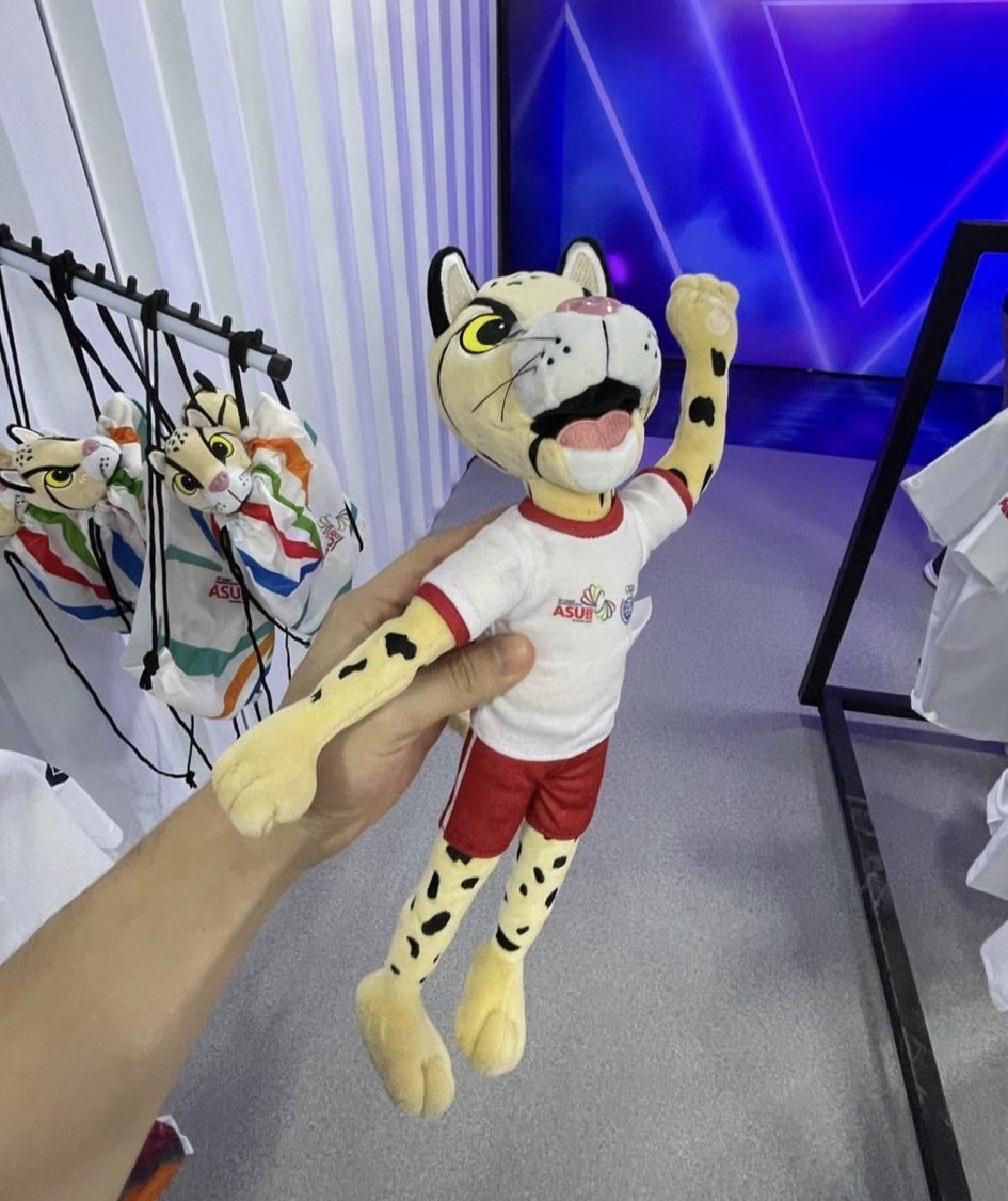 ivanper_21's tweet photo. El peluche de #Tirika a Gs. 165.000 en el COP y en la SND.

#ASU2022 🇵🇾🐈 https://t.co/VQEYOaoe2i