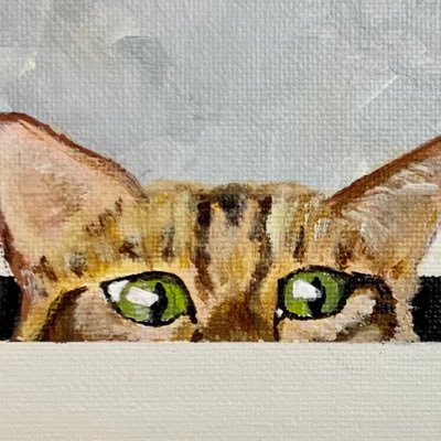 Argy Bargy tweet media