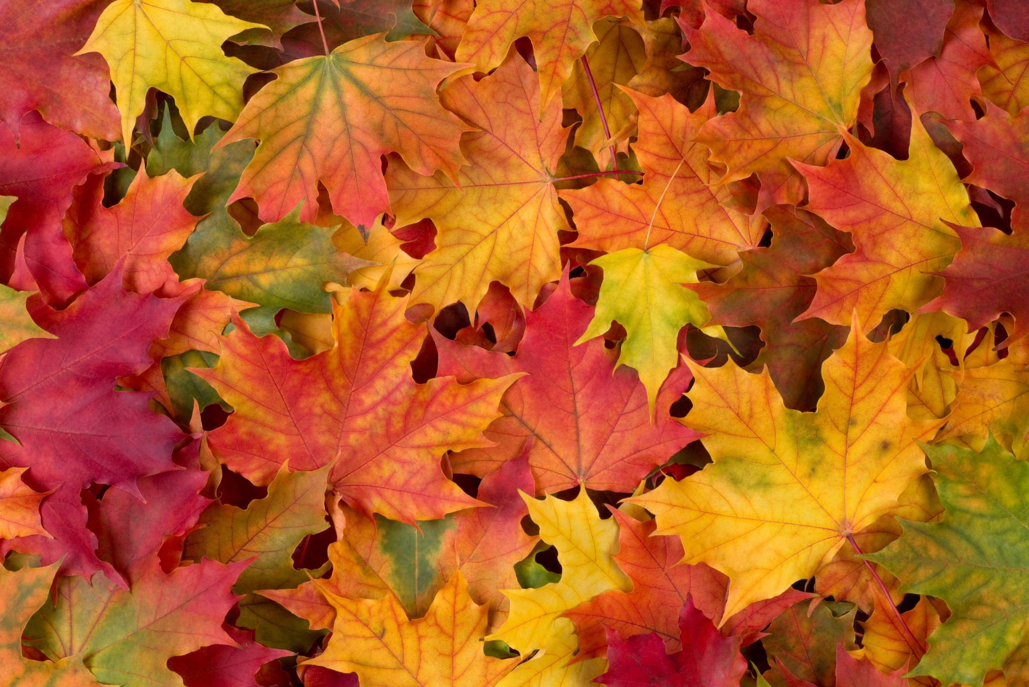 Astrology Zone On Twitter October s First Half Is Simply Magnificent