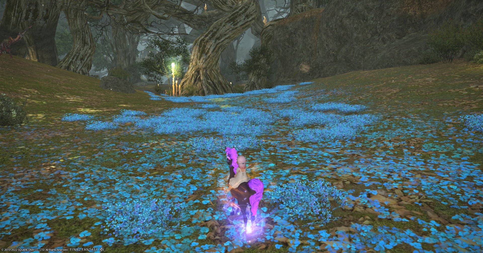 エルルの母 今は エルルのff14 になってます Divecoralocean Twitter