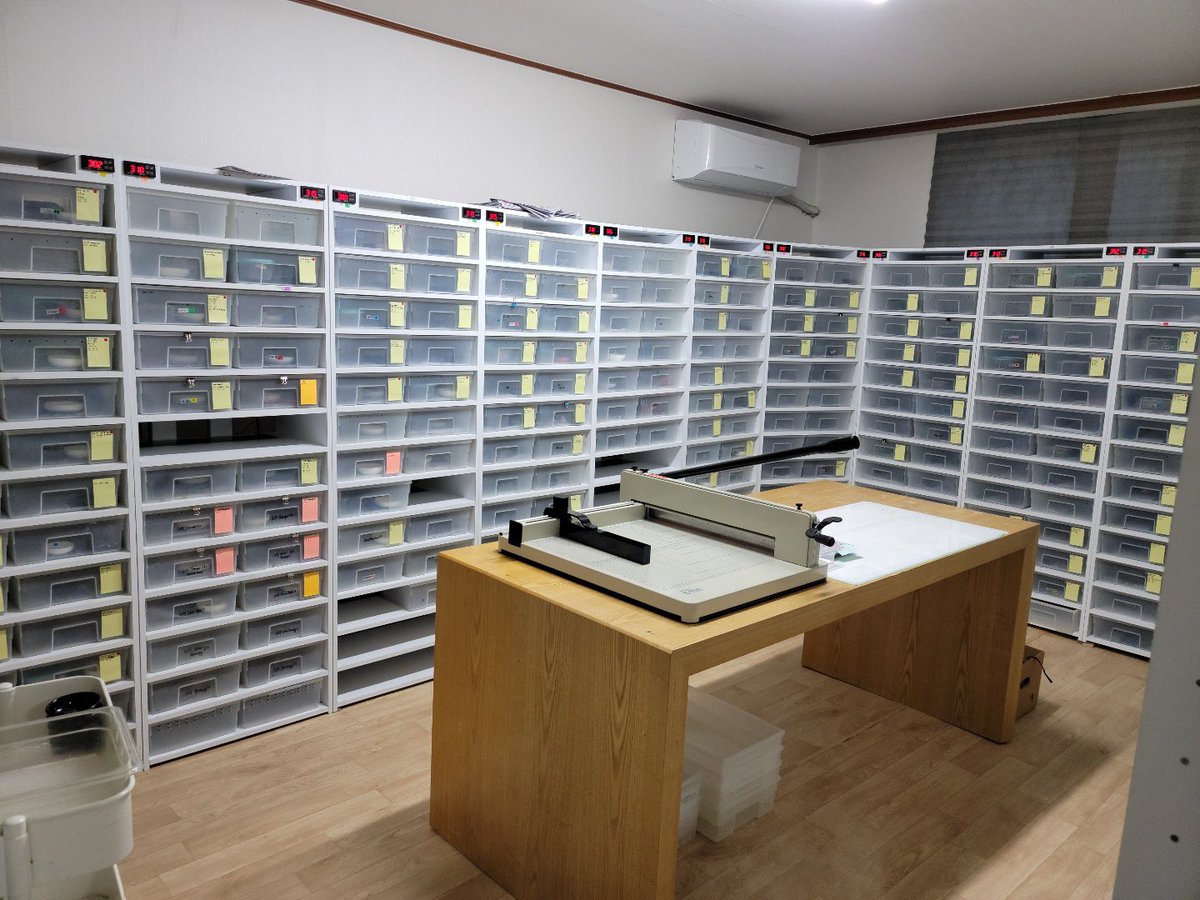 LeopardGecko大量·少量卸売が可能です。 Line:Mygeckoにご連絡ください。 
クオリティがとてもいいです。