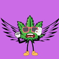MB31.eth tweet media