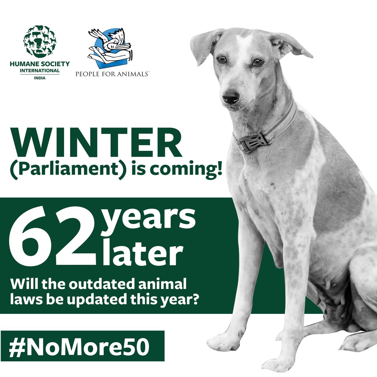 PFAppf's tweet photo. On #WorldAnimalDay
@IndiaHSI &amp; #PeopleForAnimals launch a multi-state #NoMore50 billboard campaign to demand an amendment to the archaic #PreventionOfCrueltyToAnimalsAct, 1960.
Let's help restore India’s compassion for animals—starting now!
SIGN
https://t.co/5KQuy3v2dW

#AmendPCA https://t.co/oINi08WY2M