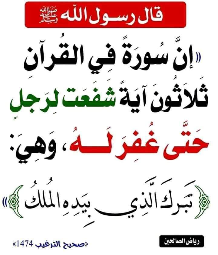 apoalmjd2's tweet photo. #بندر_بليله https://t.co/9EGlA1IK8S