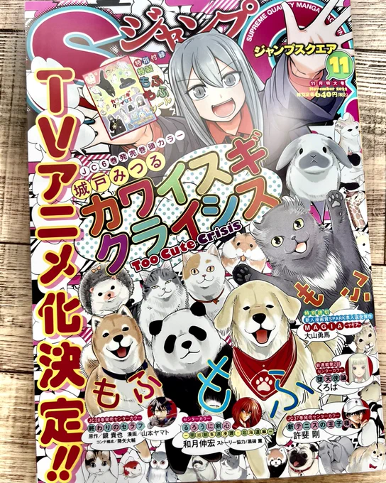 ジャンプSQ.11号本日発売です。#双星の陰陽師 第112話「罪」を掲載させて頂いております。
カワイスギル表紙が目印です🐶😻🐰🐼🦔🦉🐿よしなに。何卒よしなに。 