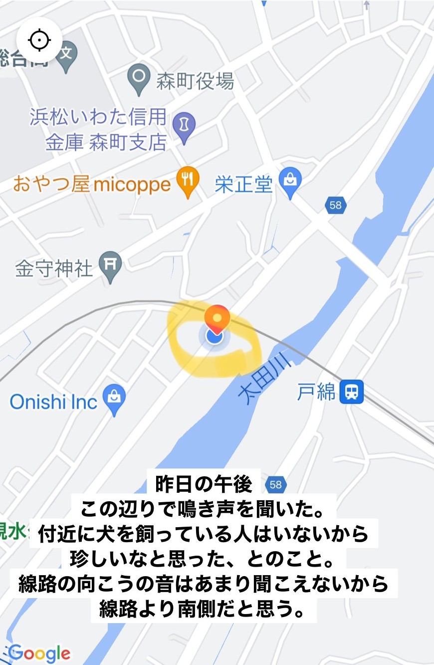 チワワのまろくん Marokunnlove Twitter